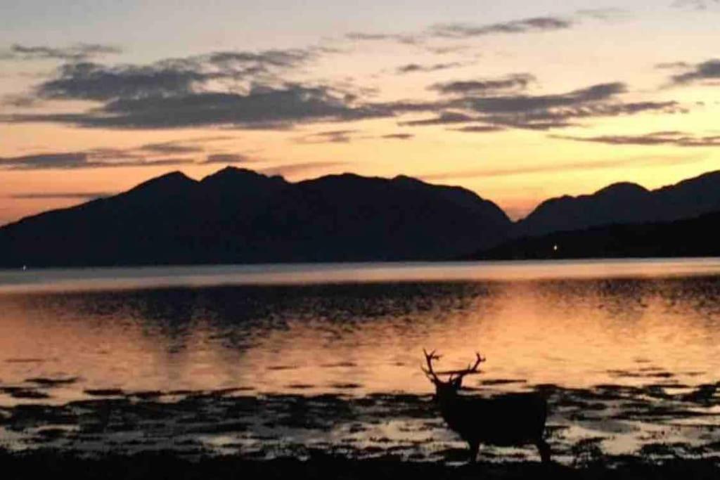 The Fox'S Den, Luxury Cosy Mini Lodge, Highlands North Ballachulish Exteriör bild