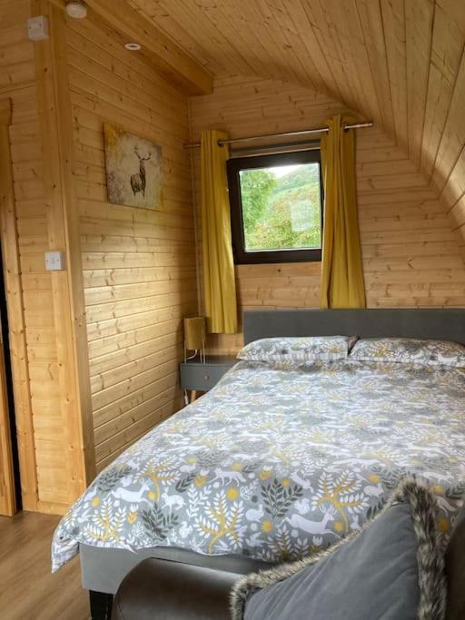 The Fox'S Den, Luxury Cosy Mini Lodge, Highlands North Ballachulish Exteriör bild