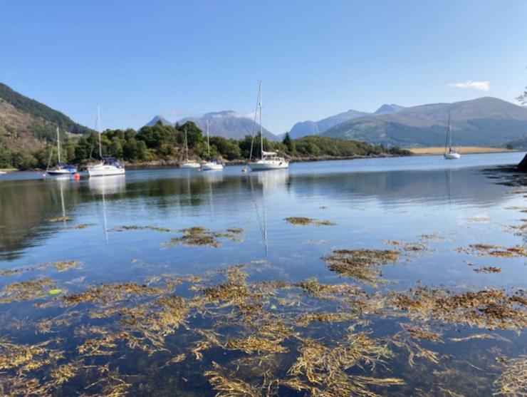 The Fox'S Den, Luxury Cosy Mini Lodge, Highlands North Ballachulish Exteriör bild